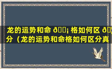 龙的运势和命 🐡 格如何区 🦆 分（龙的运势和命格如何区分真假）